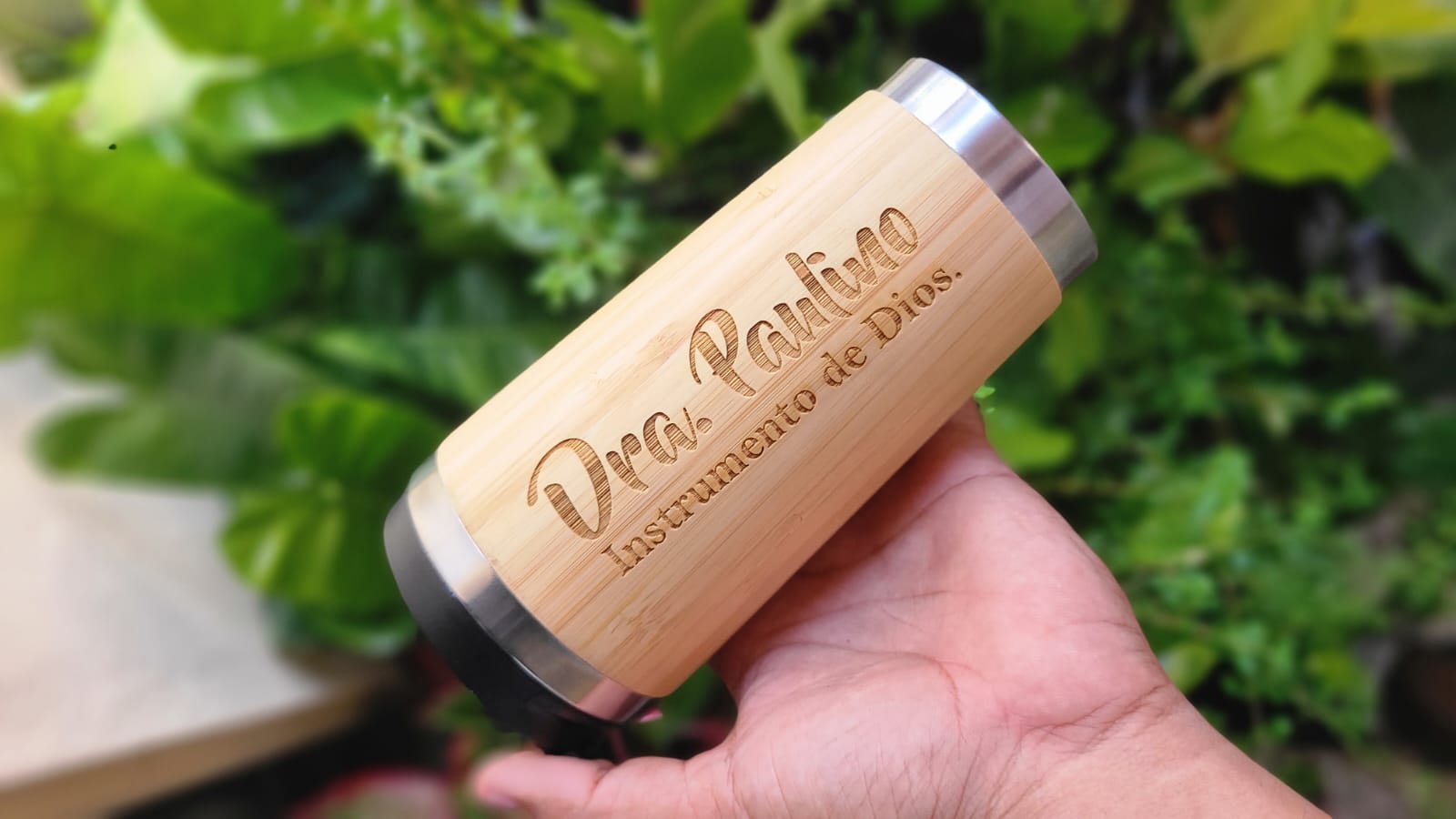 Termo &laquo;Dra. Paulino&raquo;