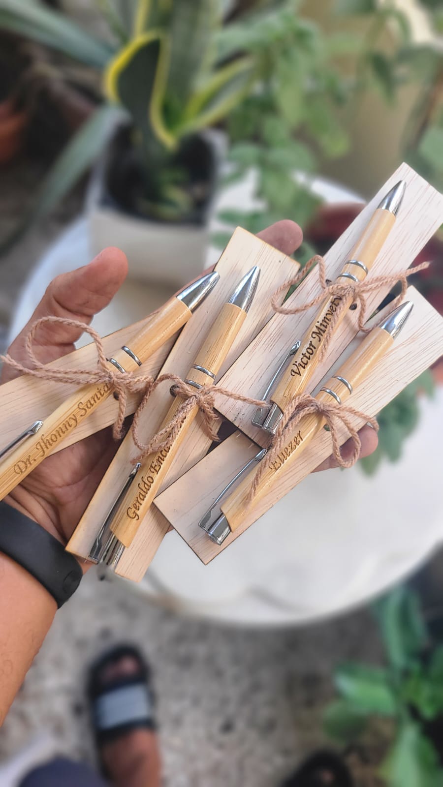 Plumas de bambu